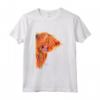 Highland CoW PRiNT T-SHiRT ToP 'PeeKaBOO ' Maglietta - Mucca delle Highland - Maglietta Artistica Unica per Adulti e Bambini