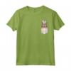 Plaid di Pasqua Svedese Vallhund Bunny Dog in Tasca Maglietta - Ideale Regalo per Amanti dei Cani - Acquista Online!